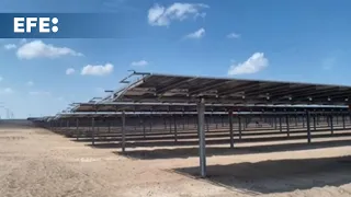 Casi 4 millones de paneles y robots para limpiar: así es la mayor planta solar del mundo