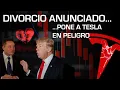 TESLA INC. - TESLA SE DESPLOMA UN 14% DEBIDO AL CONFLICTO ENTRE DONALD TRUMP Y ELON MUSK #tesla #trump #finanzas