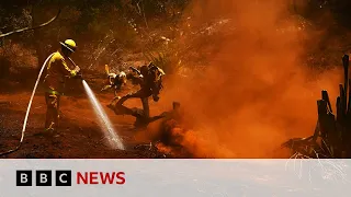 KEY Top UN court to rule on key climate questions | BBC News