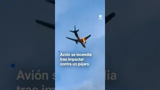 FEDEX CORP. Avión de FedEx se incendia tras impactar con un pájaro