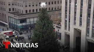 EN VIVO: Nueva York se prepara para el encendido del árbol de Navidad del Rockefeller Center