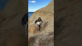 Dog rescued from sheer hillside