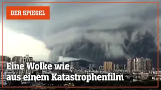 Videos von Taifun »Wipha«: Eine Wolke wie aus einem Katastrophenfilm | DER SPIEGEL