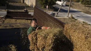 Athènes met sous tutelle un organisme agricole après une enquête du Parquet européen