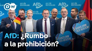 Inteligencia alemana considera &quot;extremista&quot; a AfD, el principal partido de oposición
