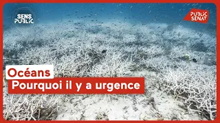 Océans : pourquoi il y a urgence