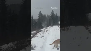 Man captures &#39;snownado&#39; walking dogs in Utah