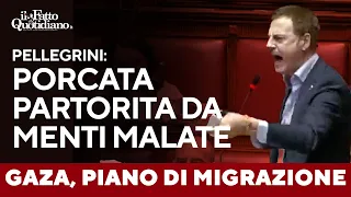 Il grido di Pellegrini: &quot;Piano di migrazione a Gaza? Porcata nata da menti malate&quot;