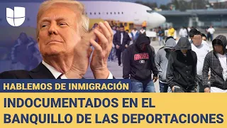 Analizamos el alcance de las deportaciones masivas de Trump: Hablemos de Inmigración