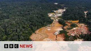 CARBON Climate change: Carbon dioxide rises more than ever in 2024 | BBC News