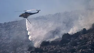 Temperature da bollino rosso in Europa: incendi e ondate di calore