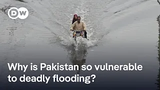 Pakistan torrential floods leave dozens dead | DW News