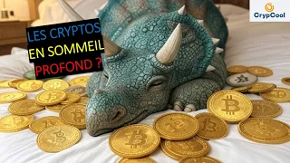 Investir 5% de son portefeuille dans l&#39;écosystème cryptos (23/03/25)