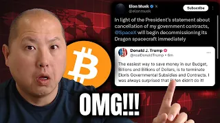 BITCOIN ELON vs TRUMP: Will Bitcoin Be the Winner?