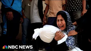 Experts weigh difficulty of determining if Israel is committing genocide in Gaza