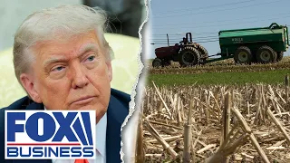 INDEX CHAIN Trump’s deportation efforts will ‘affect the food chain,’ restauranteur warns