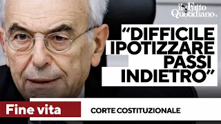 Fine vita, Amoroso: &quot;Difficili passi indietro. Moniti a parlamento? Va attuata leale collaborazione&quot;