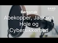 Abekopper, Jackson Hole og Cybersikkerhed