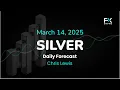 XAG/USD Price Forecast Today, Technical Analysis (March 14): Silver Fairly Quiet on Friday