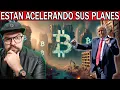 ¡ALERTA CON BITCOIN Y LOS MERCADOS: TRUMP ES PARTE DEL SISTEMA Y TE ESTÁ ENGAÑANDO!