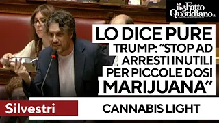 PURE RESOURCES LIMITED Silvestri: &quot;Lo dice pure Trump di smetterla con gli arresti inutili per piccole dosi di marijuana&quot;