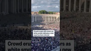 Crowd erupts with cheers as white smoke indicates a new pope has been elected