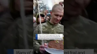 Ukrainian POWs freed