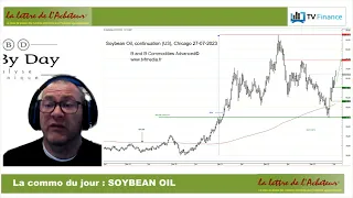 SOYBEAN OIL HUILE DE SOJA : Redémarrage de la tendance haussière