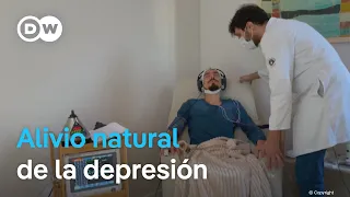 Científicos estudian una raíz usada en rituales indígenas para tratar la depresión