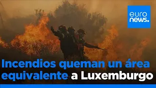 Los incendios forestales han quemado en Europa un área equivalente a Luxemburgo en lo que va de año