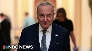 Schumer faces growing pressure as Democrats chart path to take on Trump