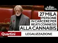 Legalizzazione cannabis, Quartini (M5S): "27mila persone in carcere per reati connessi, assurdo"