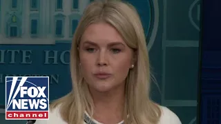 Leavitt: Democrats never did a &#39;dang thing&#39; about the Epstein case