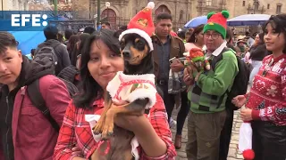 La Paz celebra el espíritu navideño con un colorido desfile que une a la comunidad