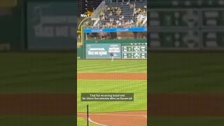 Man plunges more than 20 feet from stands at MLB game.