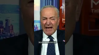 Chuck Schumer defends Democrats&#39; strategy for resisting Trump and Musk