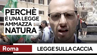 legge sulla caccia, le associazioni: &quot;Ecco perché è una norma ammazza-natura, fermiamola&quot;
