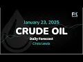 Crude Oil Price Forecast Today , Technical Analysis (January 23): WTI and Brent Try to Stabilize