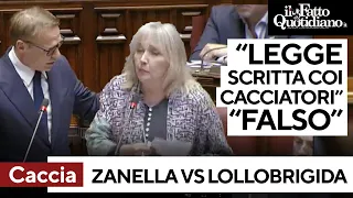Zanella (Avs) a Lollobrigida: &quot;Riforma della caccia scritta coi cacciatori&quot;. &quot;Notizie false&quot;
