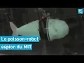 ROBOT, S.A. - SoFi, le poisson-robot du MIT conçu pour espionner la faune marine