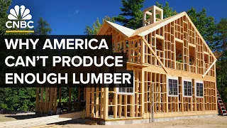 LUMBER Why The U.S. Might Increase Duties On Canadian Lumber Again