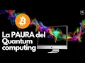 Paura di Willow? Ha senso, ma non per Bitcoin