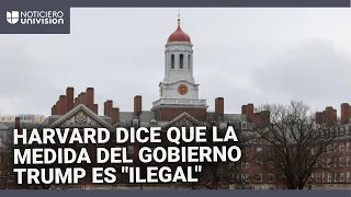 Trump prohíbe a Harvard matricular a estudiantes internacionales: la universidad rechaza la medida