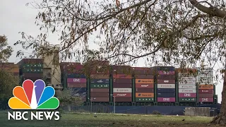 SUEZ Watch: Ships Resume Sailing Through Suez Canal After Ever Given Removed | NBC News NOW