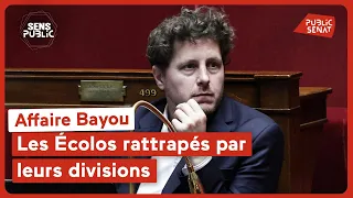 Affaire Bayou : les Écolos rattrapés par leurs divisions