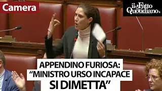 Appendino infuriata col ministro Urso: &quot;Incapace, se ne deve andare. È un disastro&quot;