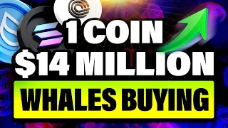 SOLANA Why Are Crypto Whales Accumulating This Altcoin? Ondo, Solana, Sui Will Pump!