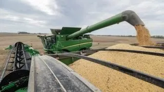 SOYBEAN Soybean farmer: We would like to have markets, not aid