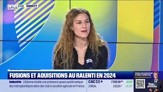 Lauren Goodenough (Interpath Advisory France) : Fusions et acquisitions au ralenti en 2024