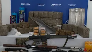 Portugal: Polizei zerschlägt großen Drogenhändlerring